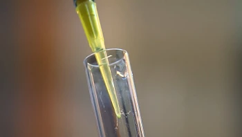 הוועדה הבינ"ל למניעת סמים בספורט: "ננקוט סנקציות נגד ישראל"