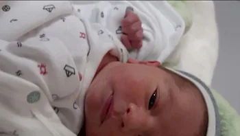 המסע הביתה של הזוג שנסע לפונדקאות באוקראינה