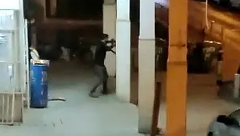 חמוש ברובה ויורה על עוברי אורח: תיעוד הפיגוע בבני ברק