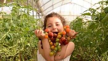מה עושים עם הילדים ביום הבחירות: 5 אטרקציות לכל המשפחה