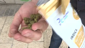 "לא צריך יותר מזה": הקלות בה ניתן להשיג קנאביס רפואי - בלי בעיה בריאותית