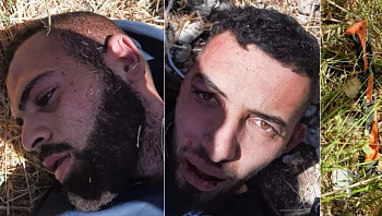 הסתתרו וישנו בשיחים עד ללכידתם: פרטים חדשים מתפיסת המחבלים באלעד