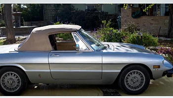 תנו לחיות מכונית: הגרלה של רכב אספנות נדיר בין אלפי ישראלים שיתרמו למען בעלי חיים