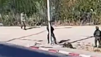 סוכל פיגוע: מחבל ניסה לדקור חיילים סמוך לשכם - ונורה