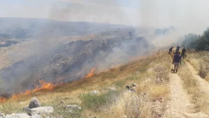 שריפה גדולה ליד בית שמש: מטוסי כיבוי הוזנקו, ילדים שטיילו באזור פונו