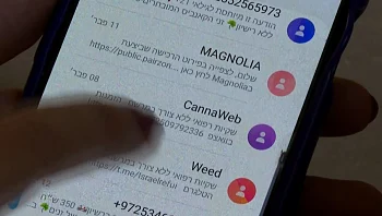 "בן 16 והצלחתי לארגן": מי שולח מסרונים שמציעים לקנות קנאביס?