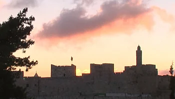 "לא מוכנים להיות מושפלים": הקרב על הסמל בצעדת הדגלים