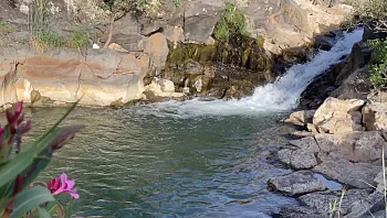 המדריך לנחלים שלא הכרתם שממשיכים לזרום גם בקיץ