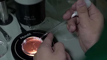 "לא הצלחתי לחלום על ילד": נשים עגונות יוכלו להביא ילדים ללא אישור הבעל