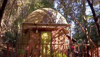 טירה בלב יער ובקתה בצורת פטרייה: הטרנד החדש ב- AIRBNB