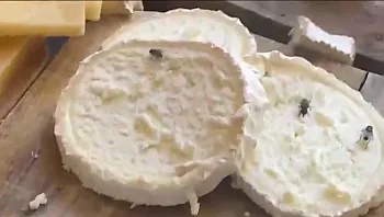 שילמו 50 אלף ש"ח לטיול באיטליה: "הביאו לנו פסטות ומעדנים מקולקלים"