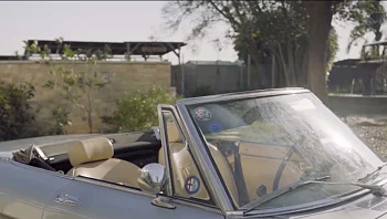 רכב ב-250 שקלים בלבד: תרמו להצלת החמורים והשתתפו בהגרלה