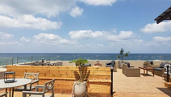 צפוניים התפקדו: מצאנו את הדרינק הבא שלכם