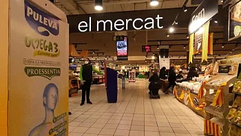 הבדיקות המוזרות שדורשת ישראל מיצרנים זרים - ומעלות את המחירים