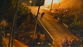 ירה בגיסו והפקיר אותו למוות: תיעוד מליל הרצח