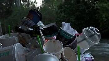 סכנת הפלסטיק בדגים: כמה חתיכות מיקרו-פלסטיק מצאנו בדגים מהים התיכון?