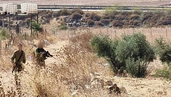 תקרית חריגה בשומרון: פלסטיני ניסה לחטוף נשק מחייל - ונוטרל