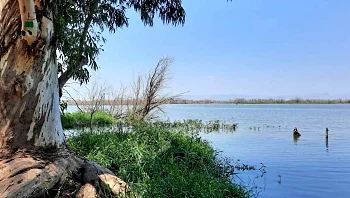 השמיים משתנים: שלוש המלצות לפעילות בטבע בחודש תשרי