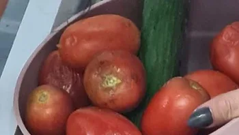 האב גילה שהאוכל בגן מקולקל; המנהלת: "למה נכנסת למטבח?"