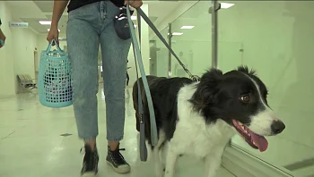 "זה עושה את החיים של הילדים ליותר טובים"