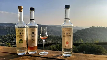 שישי חופשי חגיגי - 4 המלצות לטיולים בעקבות ראש השנה