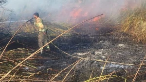 שריפה פרצה בכינרת, מטיילים פונו; הושגה שליטה באש