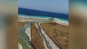 דרמה בים המלח: אישה חולצה משדה מוקשים ברגע האחרון