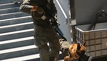 "חבר ואח לנשק": תיעוד רגעיו האחרונים של הכלב "זילי"