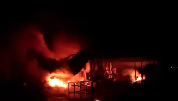 טרור חקלאי ביום כיפור: "נזק של לפחות 10 מיליון שקלים"