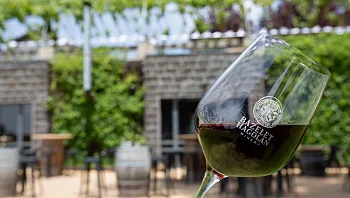 שישי חופשי מחוץ לסוכה: 5 המלצות לבוקר זוגי