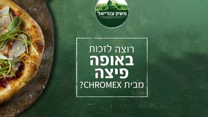 משק צוריאל