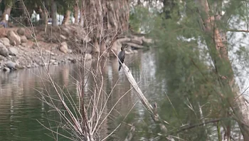 אחרי כמעט 30 שנה: האם בחורף הזה סכר דגניה יפתח?