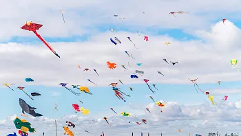 6 אנשים מתו לאחר שגרונם שוסף על ידי חוטי עפיפונים