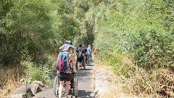 ביער נרקוד: 4 המלצות לפארקים ויערות נגישים