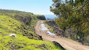 התחזית: התקררות עם גשמים קצרים; בשבת - התחממות