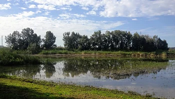 התחזית: נוח, ממחר - התקררות וגשם עד סוף השבוע