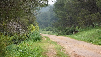 התחזית: שמשי נוח - הגשם עשוי לחזור בהמשך השבוע