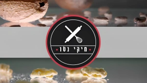 מיקי נטו