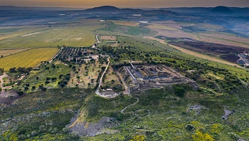 יין, פסטיבלים כפריים ושמירת טבע - קבלו 4 ארועים רגע לפני פסח