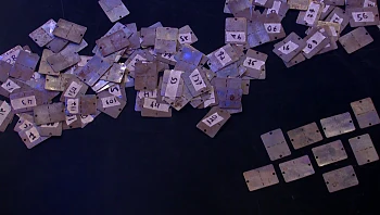 איך הגיעו כ-200 דסקיות אישיות של חיילי צה"ל מלפני עשרות שנים לאדמה?