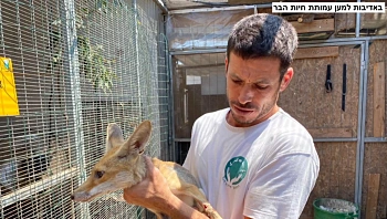 "למען חיות הבר": המקום שמעניק טיפול לחיות הבר שעברו פגיעה