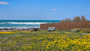 התחזית: שרבי ברוב חלקי הארץ - נעים בערב החג