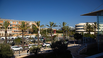 כ-70 תמונות קטינים נתפסו: פרופ' מאוניברסיטת ת"א נאשם בפדופיליה