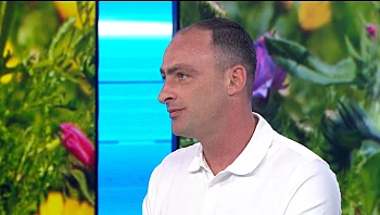 איך להפוך את המרפסת לחלל שמנוצל בכל ימות השנה