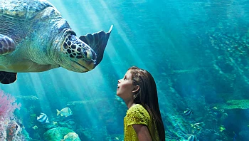 חדשות התיירות: כך תשיגו שני לילות בחינם בדובאי