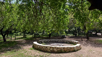 איש תחת גפנו: בעקבות גתות היין העתיקות