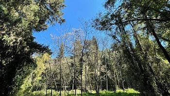 התחזית לשבת: מזג האוויר הקייצי של סוף השבוע נמשך