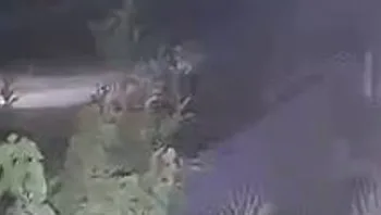 תיעוד: חיסול שלושת המחבלים מהאוויר אתמול סמוך לג'נין