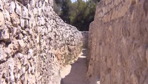 "לא היינו גיבורים": העדויות מהקרב על גבעת התחמושת