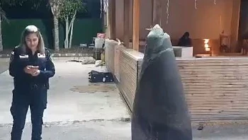 טיל נ"מ ששוגר מסוריה התפוצץ באוויר - צה"ל תקף את הסוללה